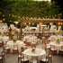 New Ideas for a Rustic Chic Wedding